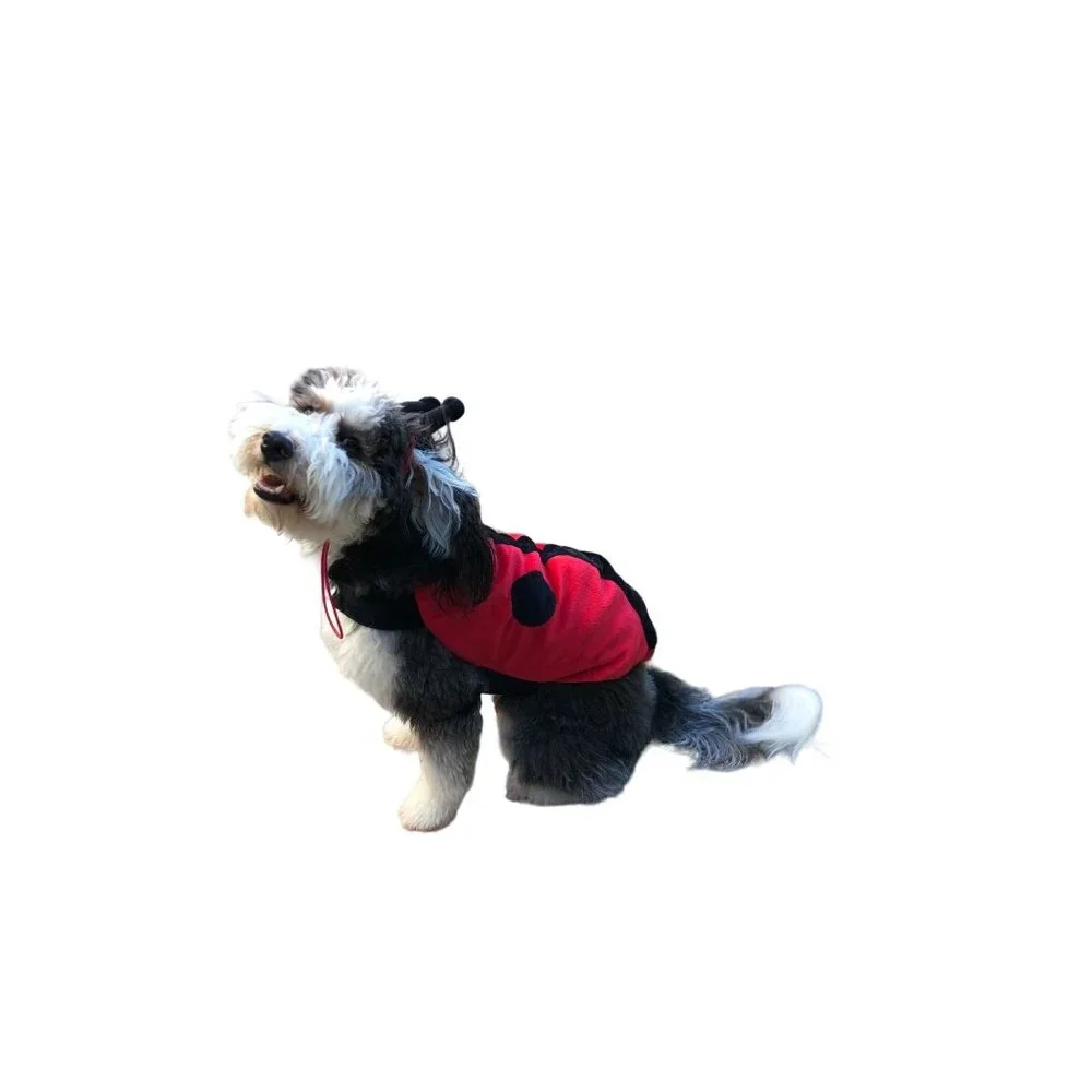 Target‎ Ladybug Dog Costume Size Large 18 inch Halloween 2 Piece Lady Bug Red